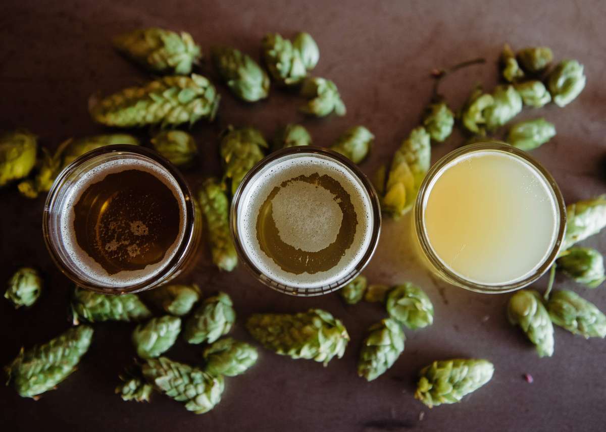 Beer and hops