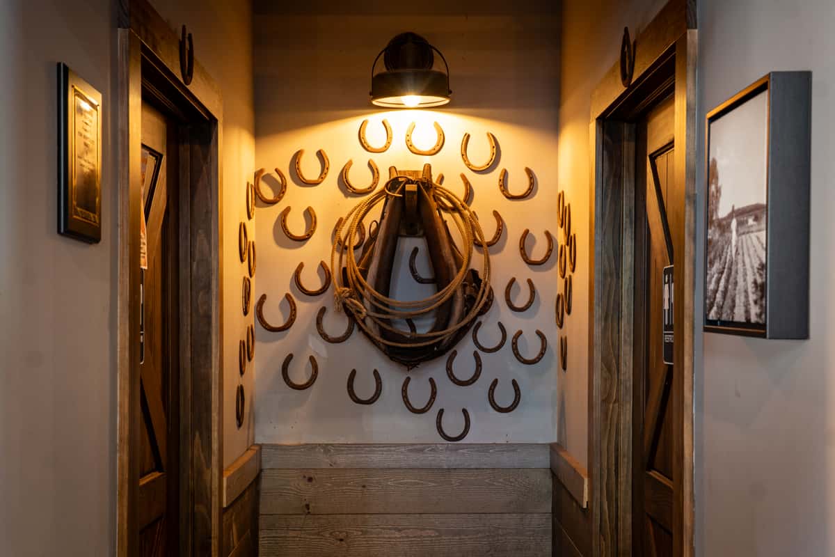 saddle and horse shoes mounted on wall