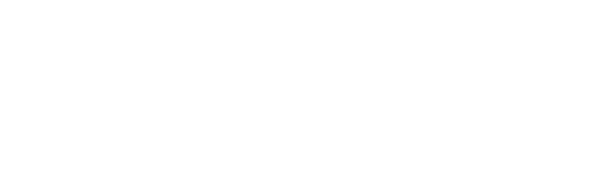 Bravo Mg Concepts