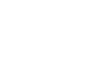 Berg Hospitality Group