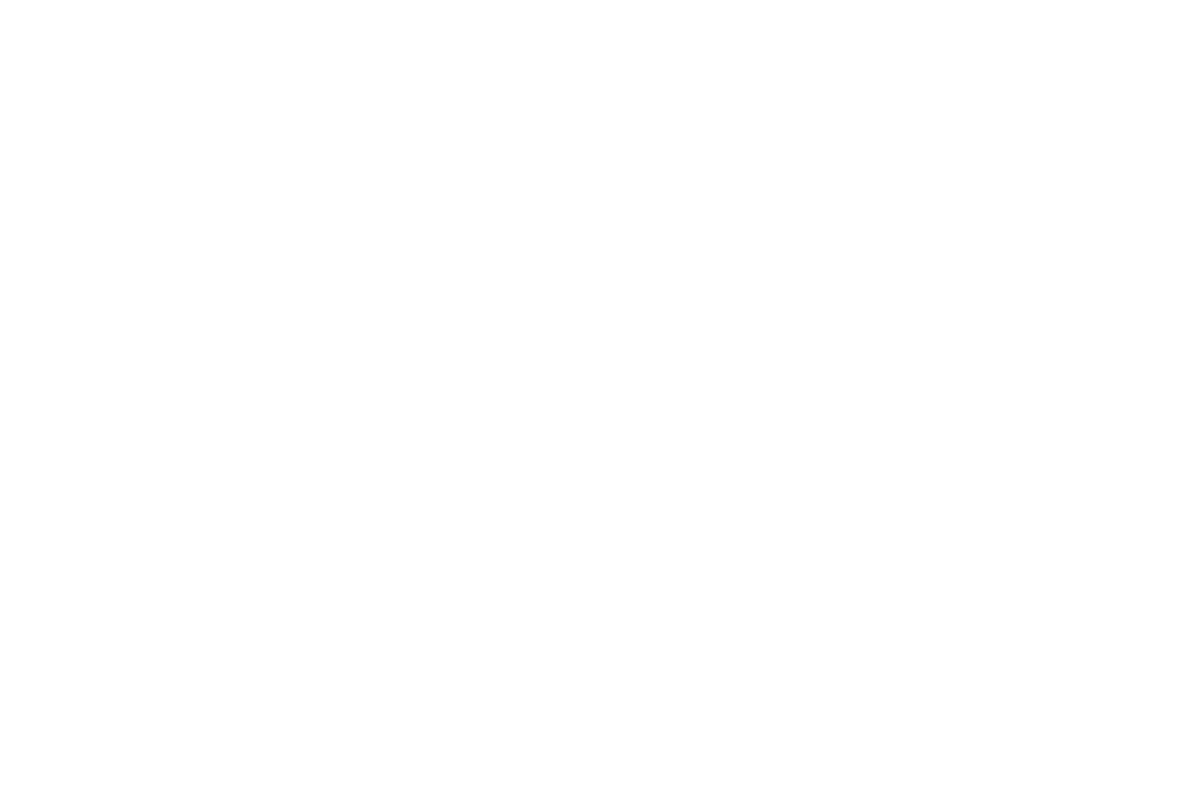 True Story Whiskeys logo