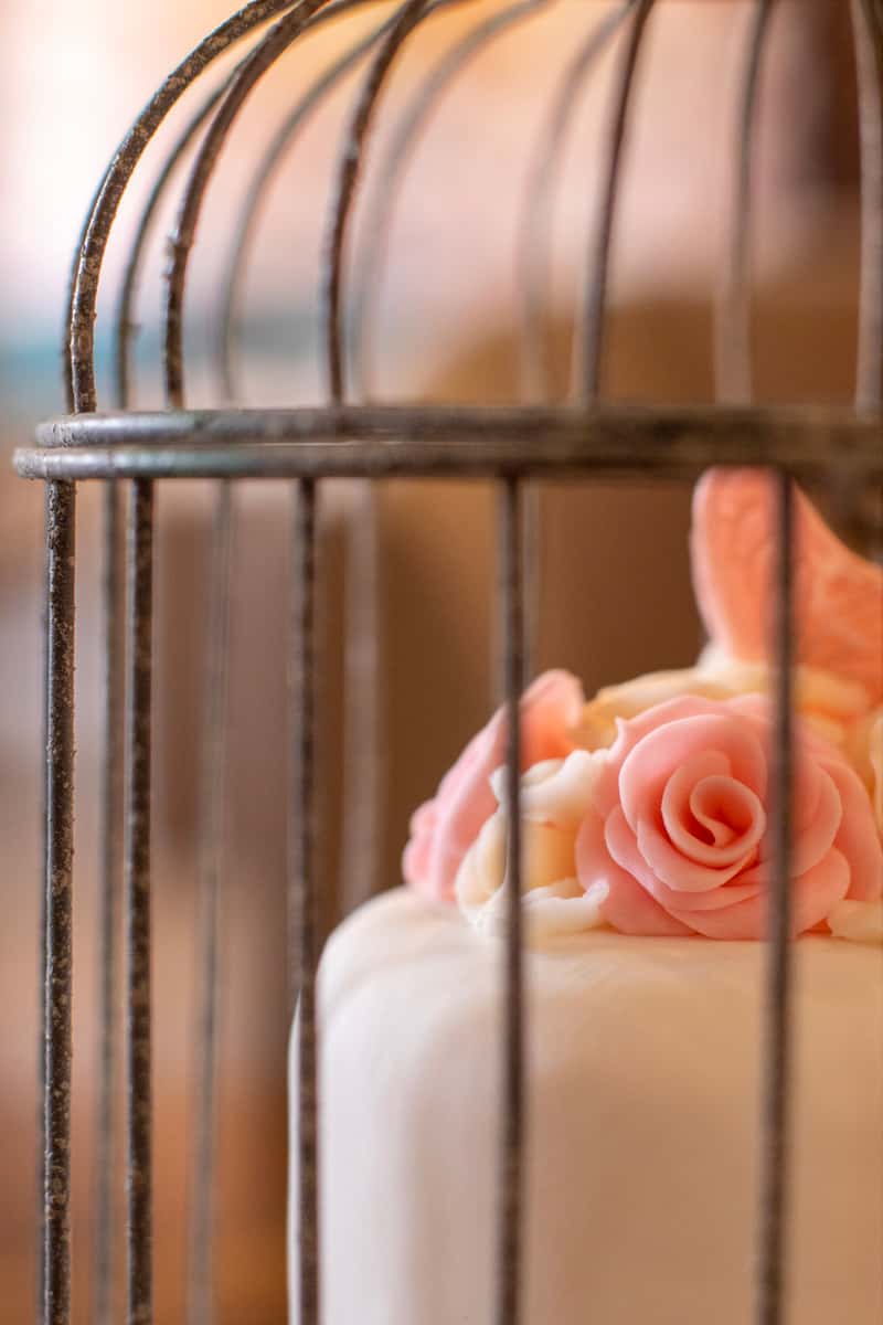 cake in cage