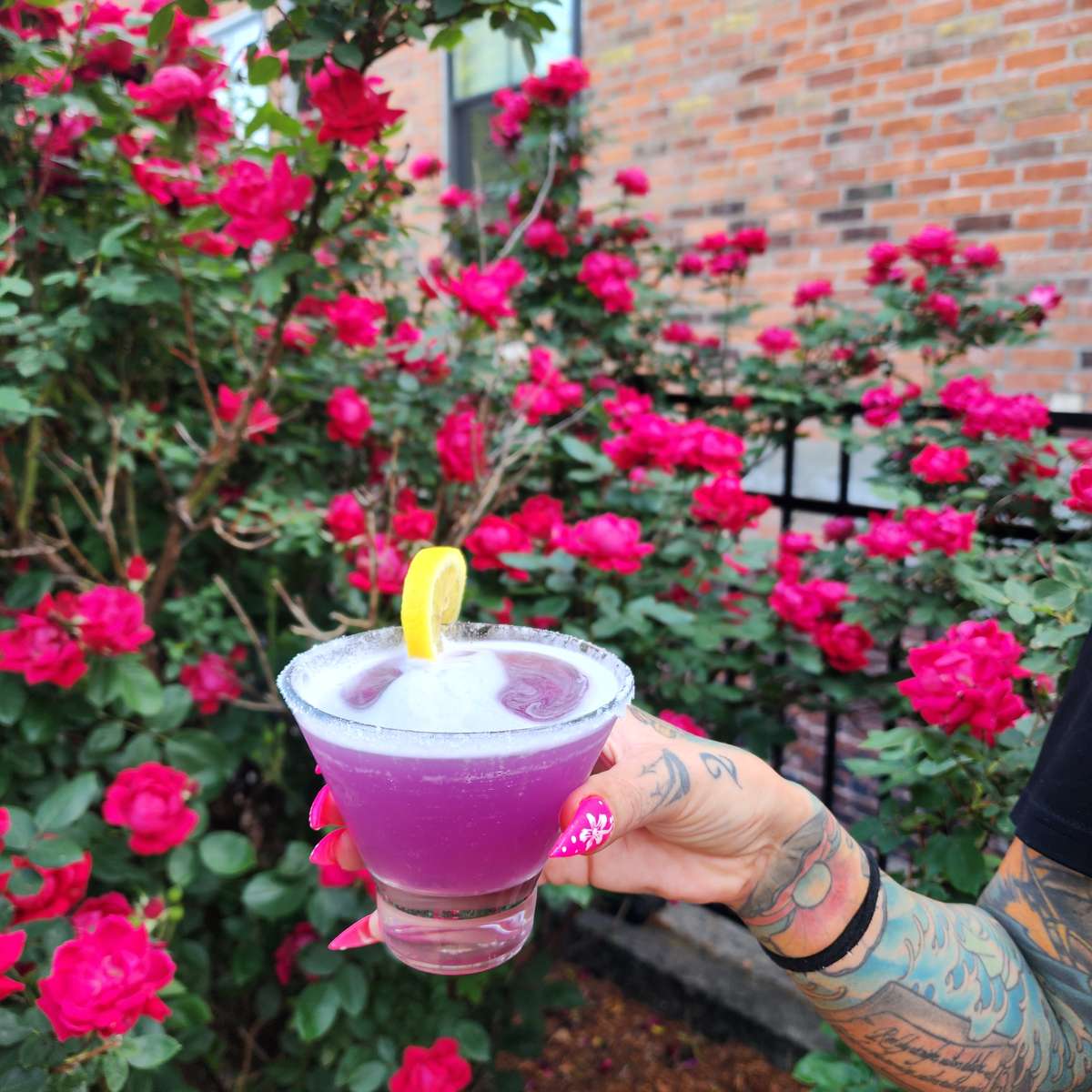 Cocktail