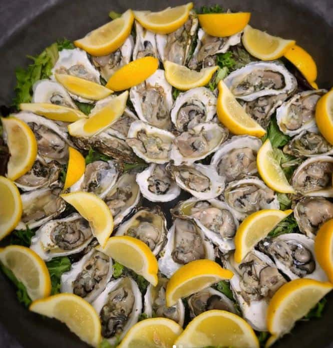 Fresh oysters northampton best oysters new england best oysters northampton best oysters massachusetts 