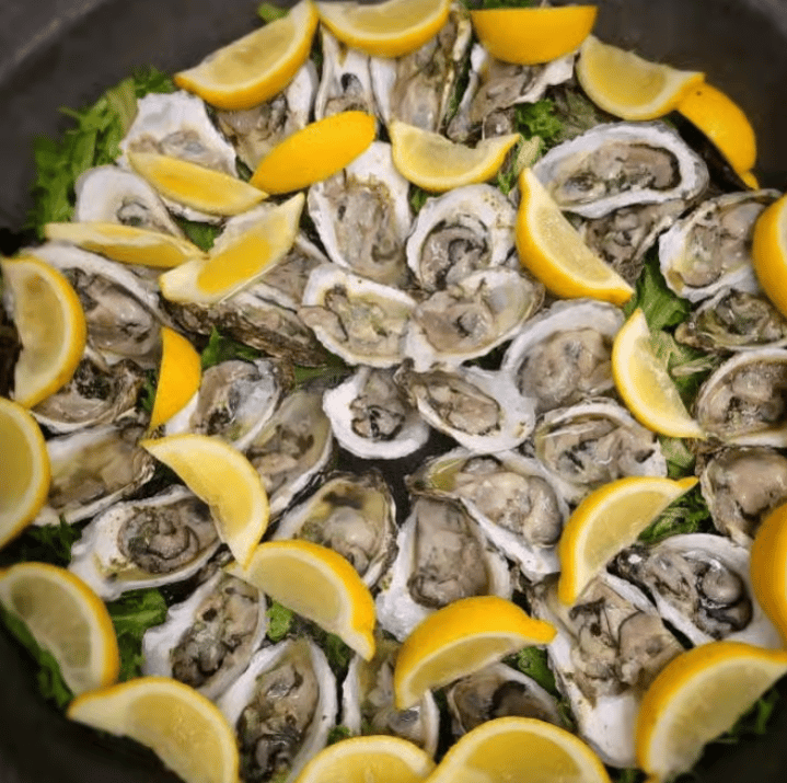Oysters.png