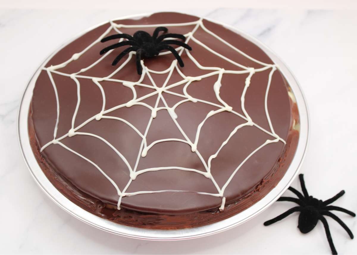 Spider Boston Pie