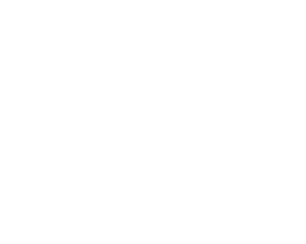 The Mad Italian