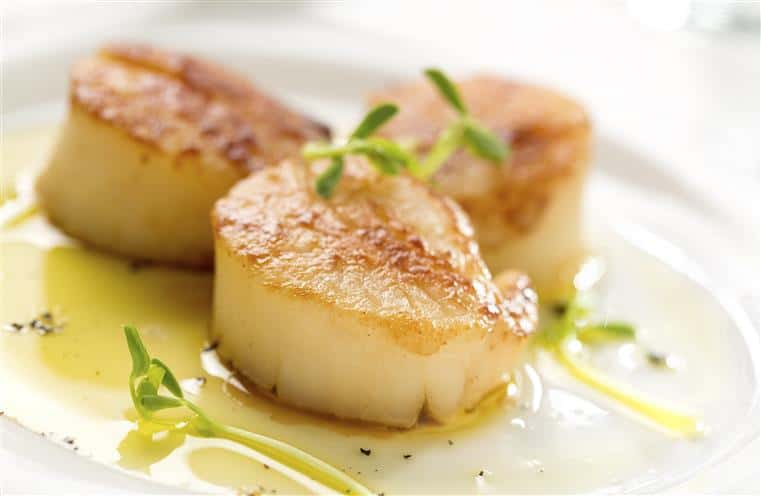 scallops