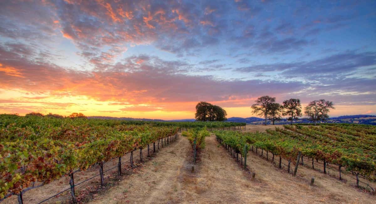 wine country