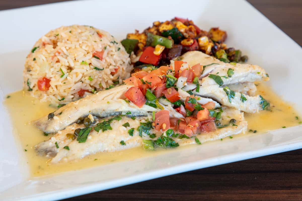 sea bass