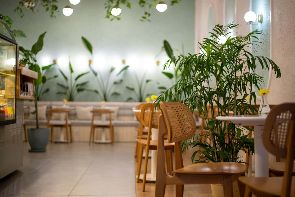 A serene cafe interior featuring wooden chairs, tables, and lush greenery.