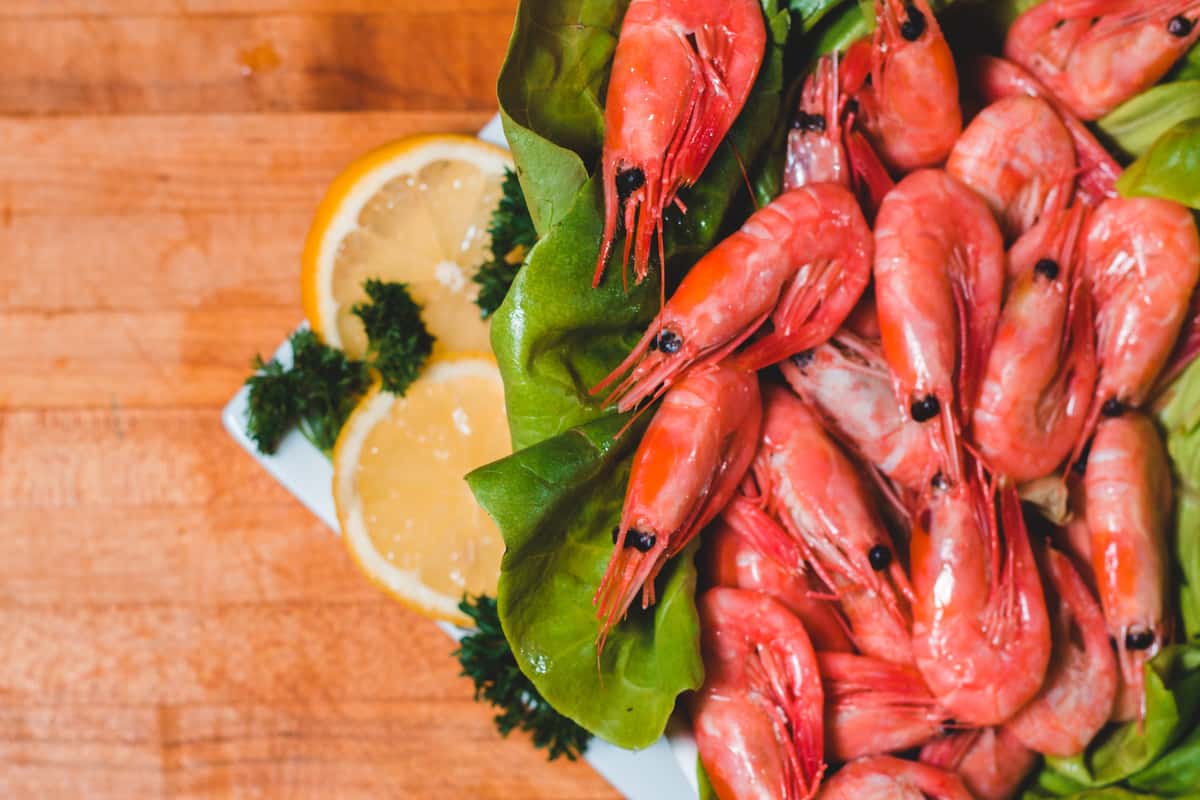 shrimp