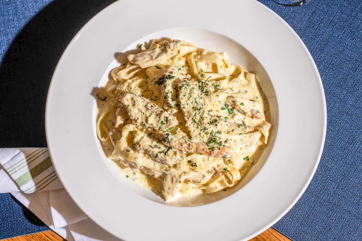 chicken alfredo