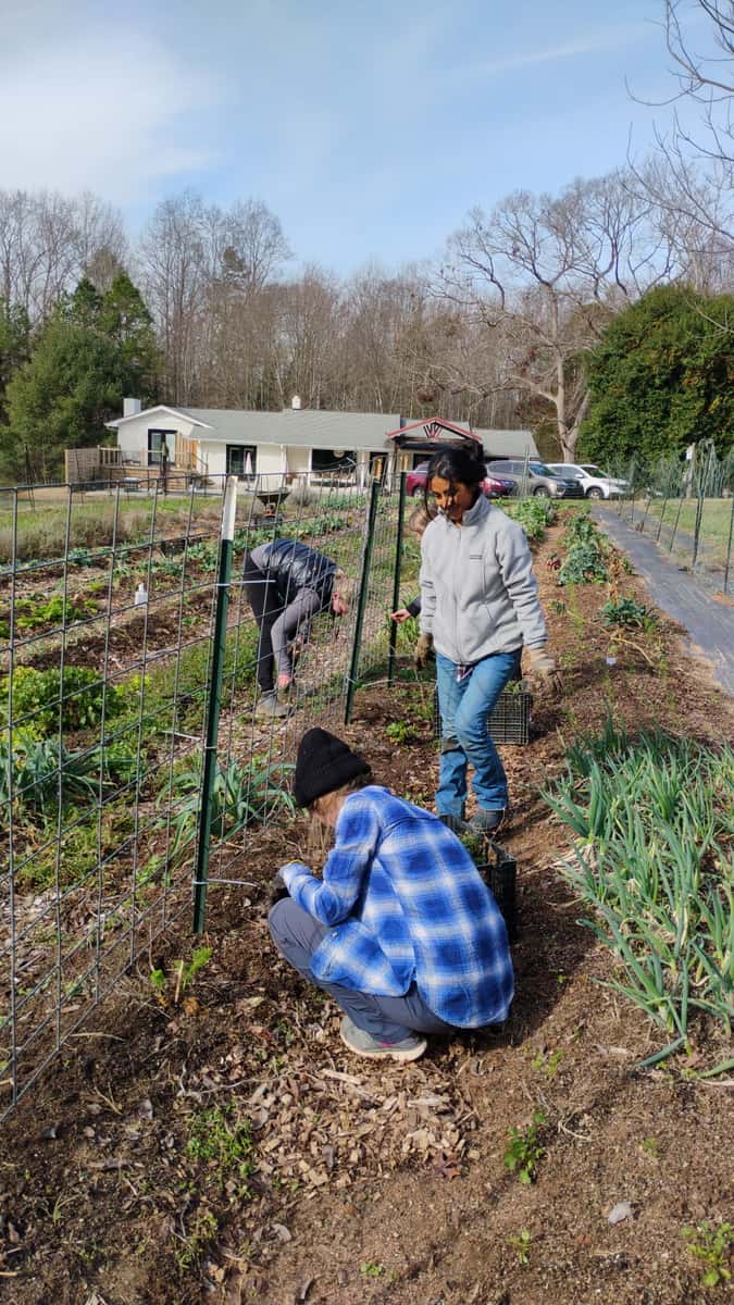 Volunteer at Topsoil Farm in Travelers Rest Farm to Table