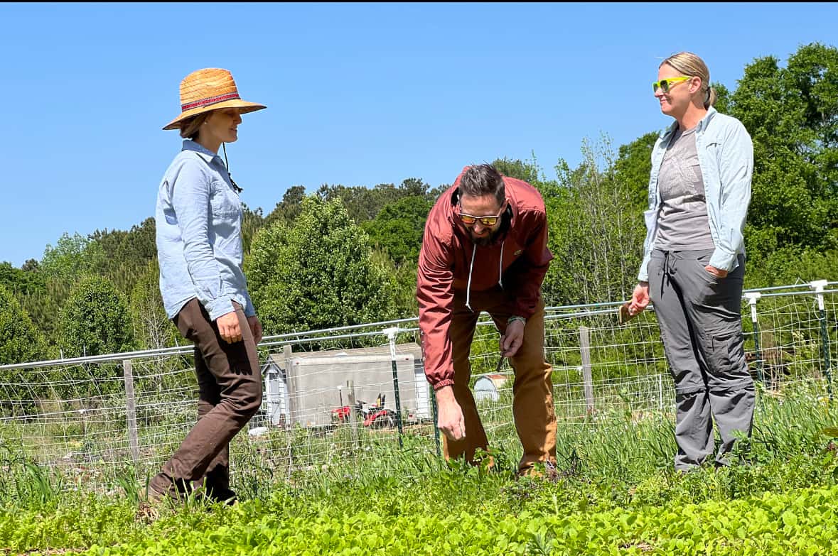 Topsoil Farm to Table Restaurant in Greenville SC