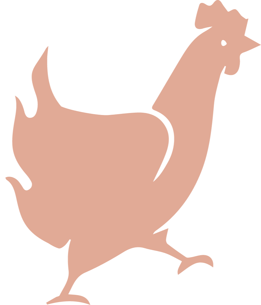 Baby Bird Chicken Icon
