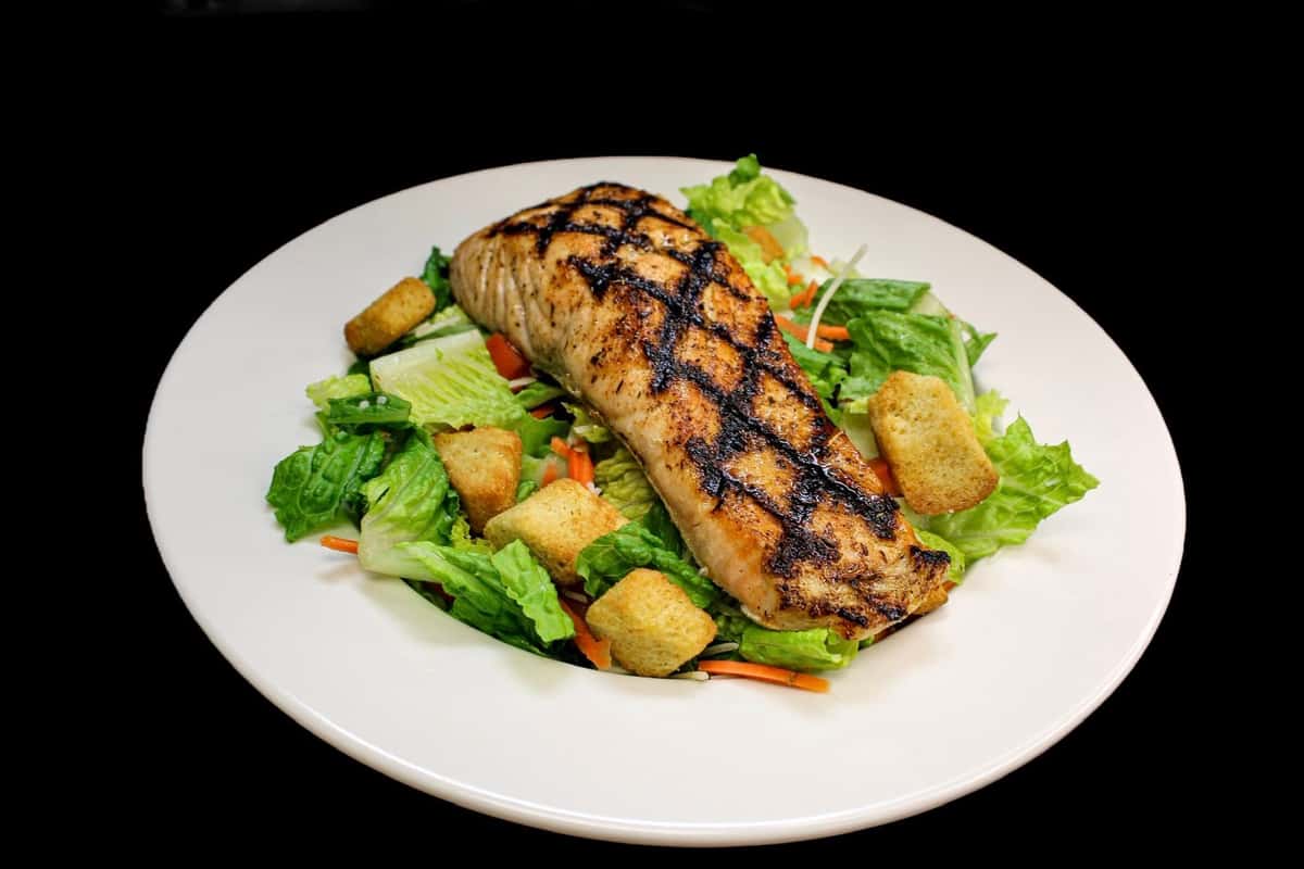 Salmon