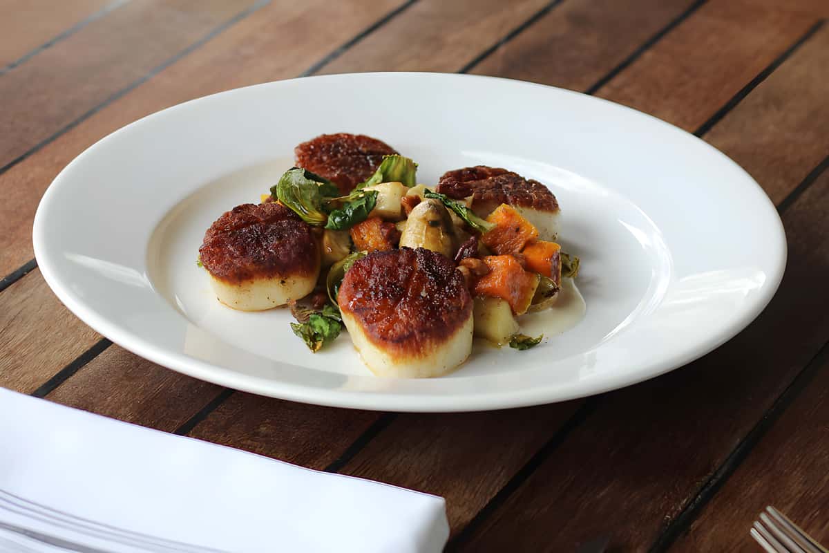 Seared scallops served with roasted vegetables and herbs on a white plate