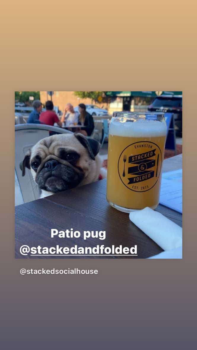 Dog Friendly Patio in Evanston