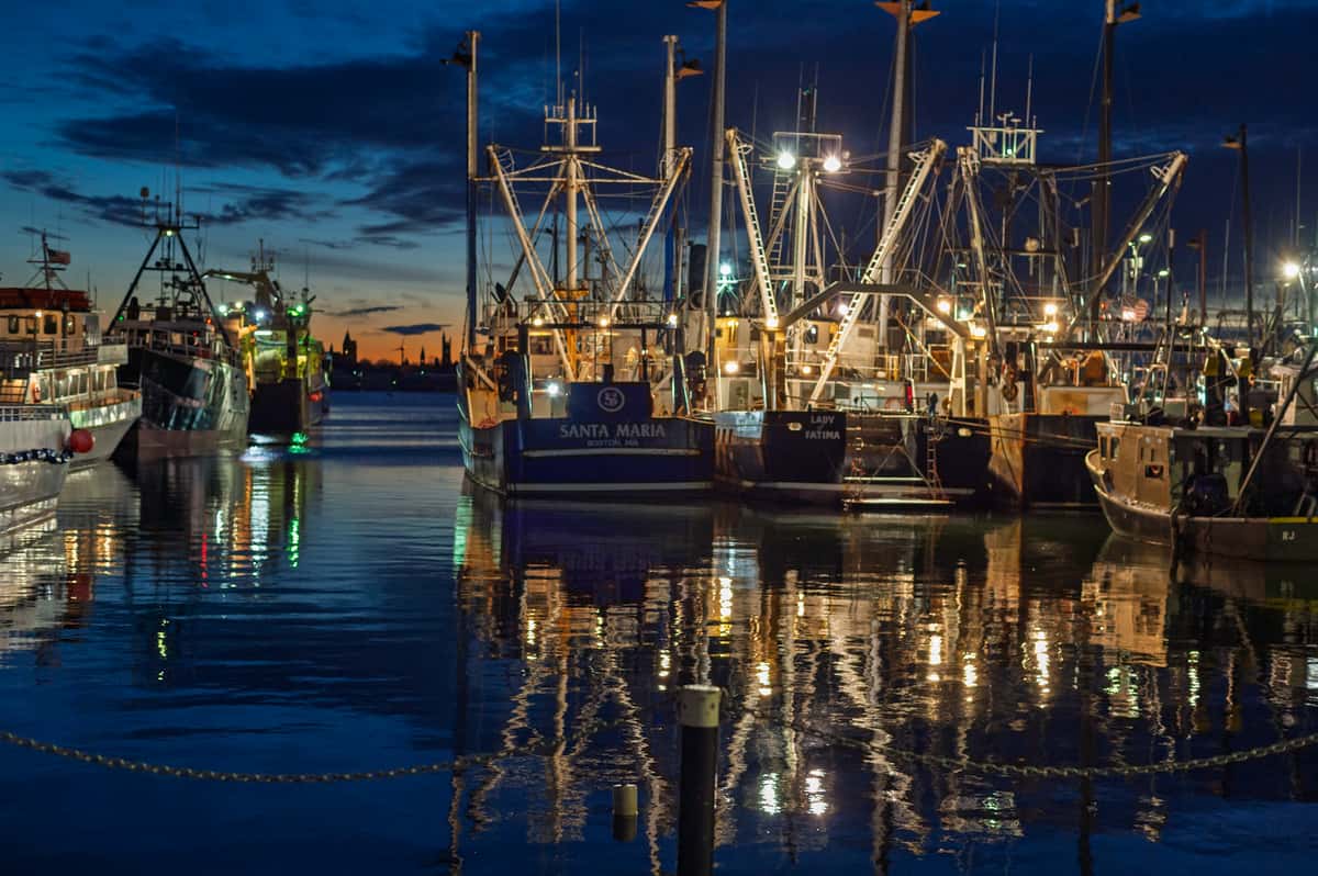 boats