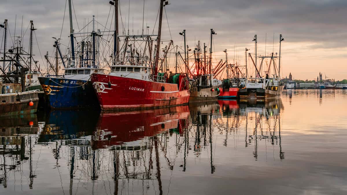 boats