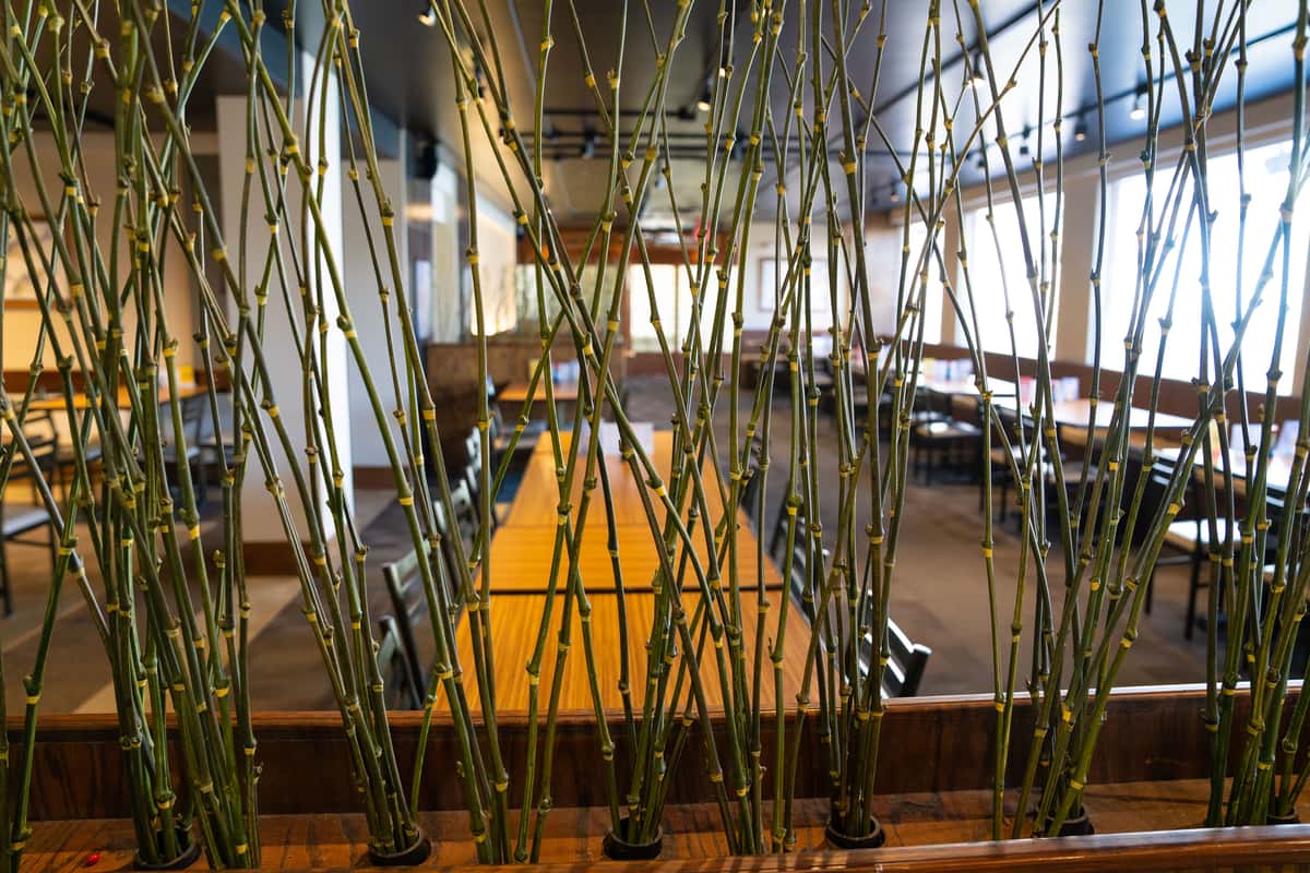 dining area behind bamboo deco