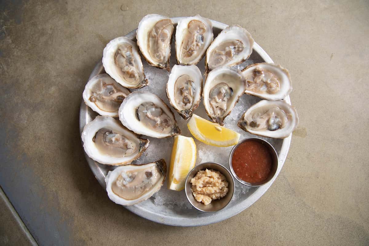 Oysters
