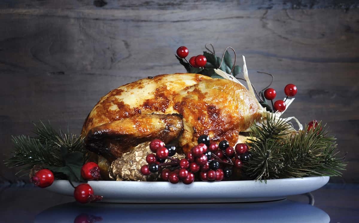 Holiday Turkey