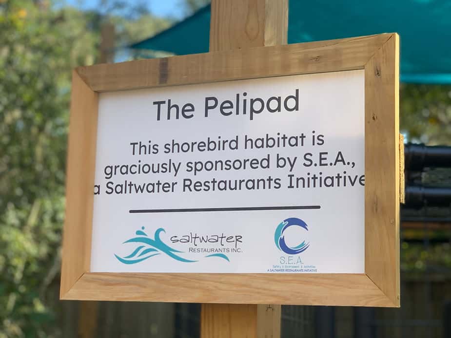 peli pad