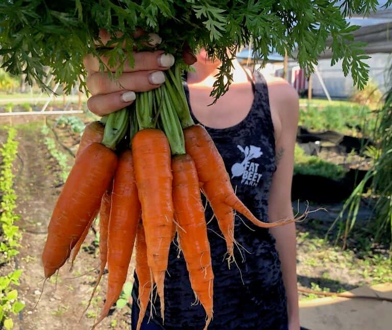 carrots