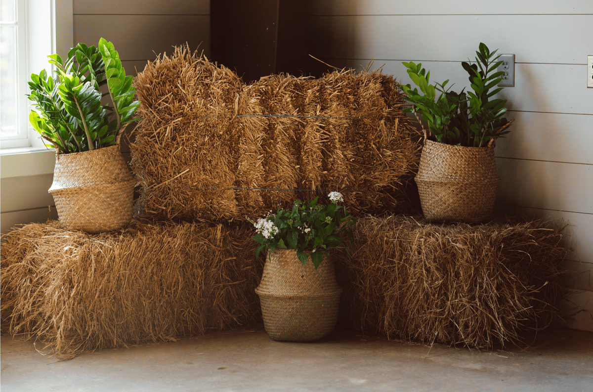 Hay