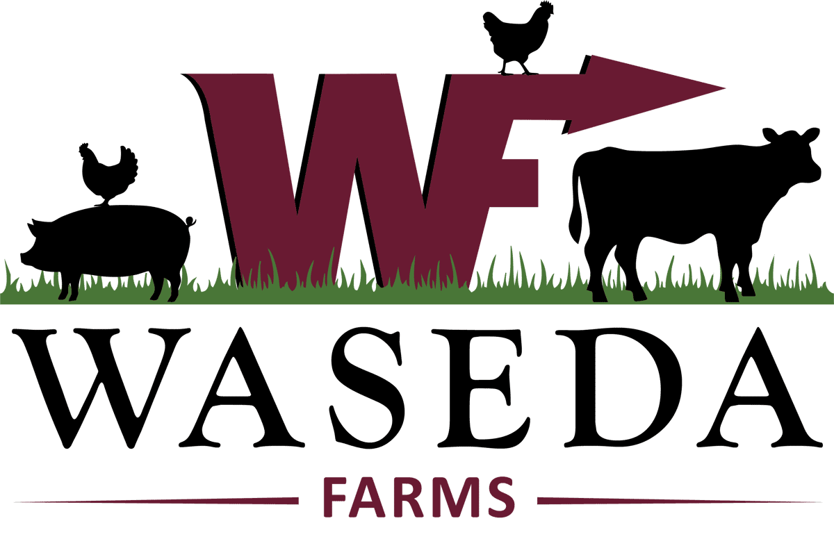 Waseda Logo
