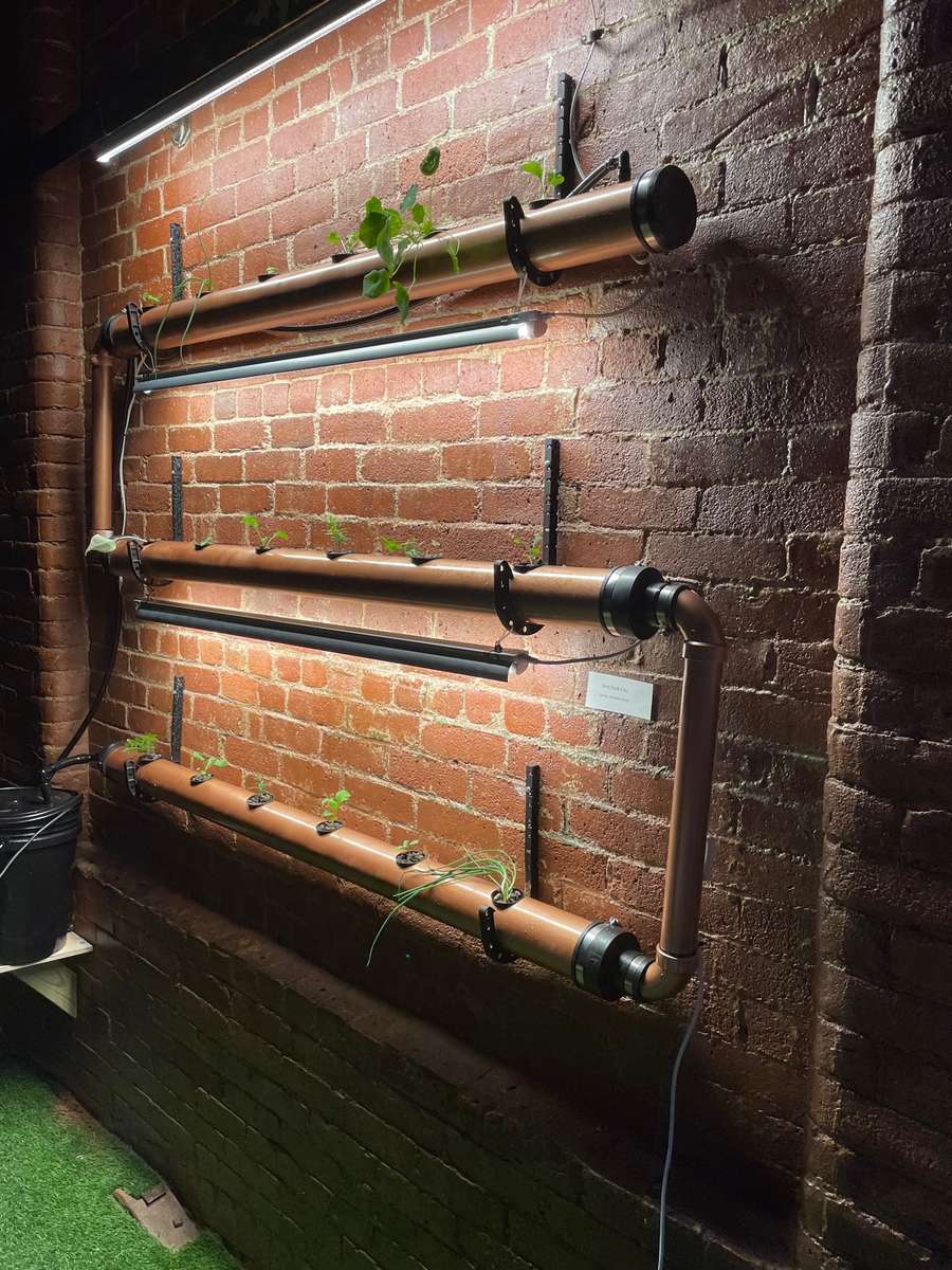 Wall hydroponic system