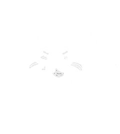 Contact Ganzo