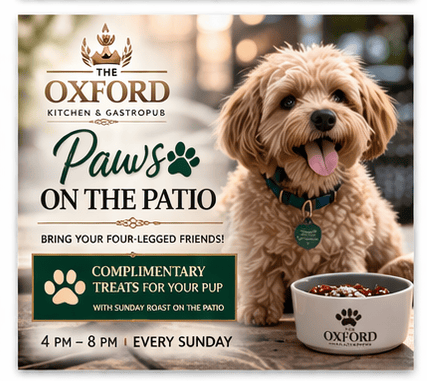 Sunday Paws on the Patio at The Oxford Kitchen in Lodi, California