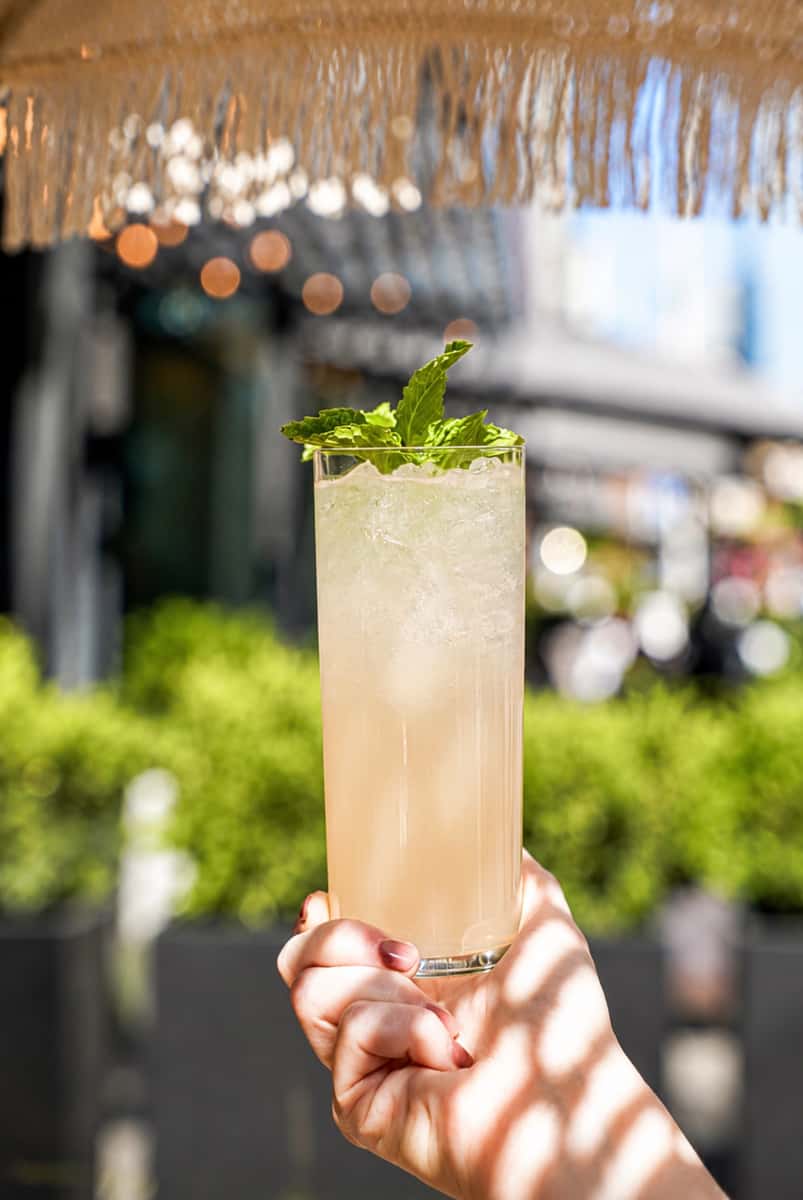 lychee paloma