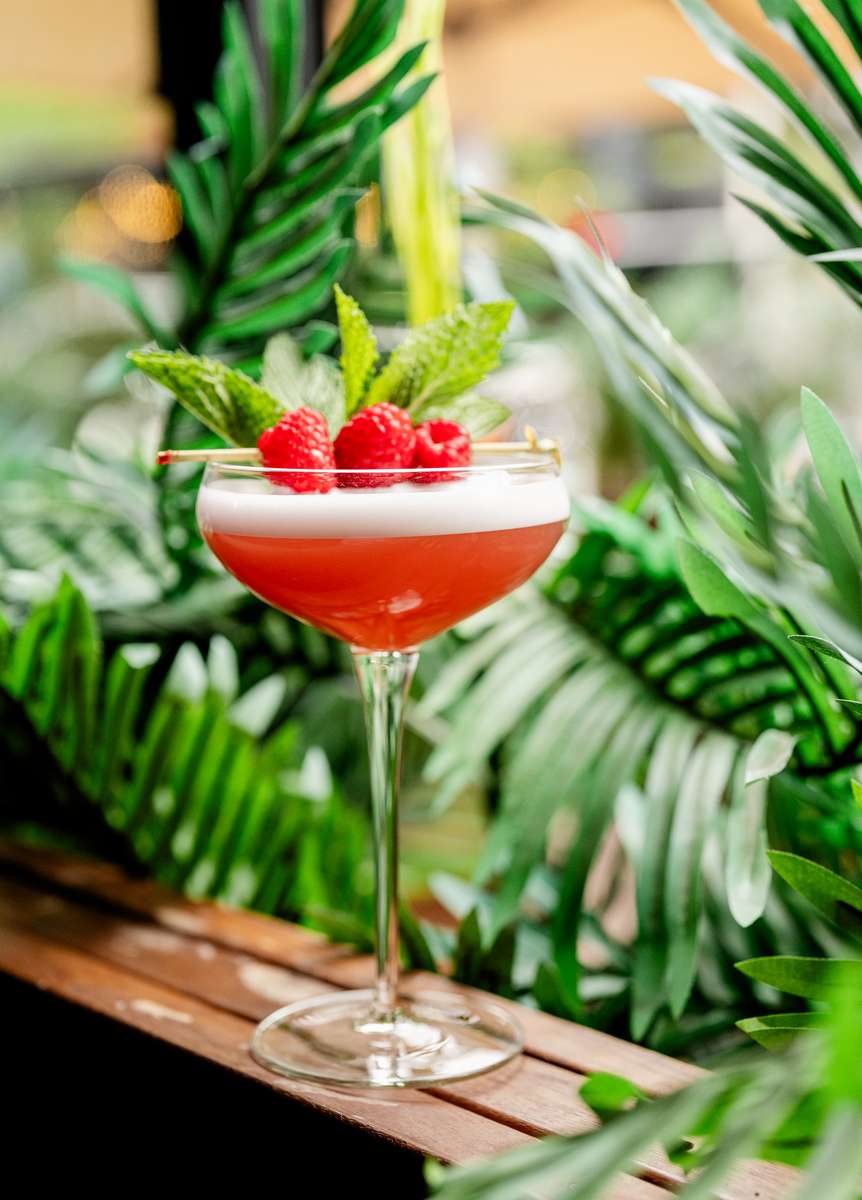 cocktail