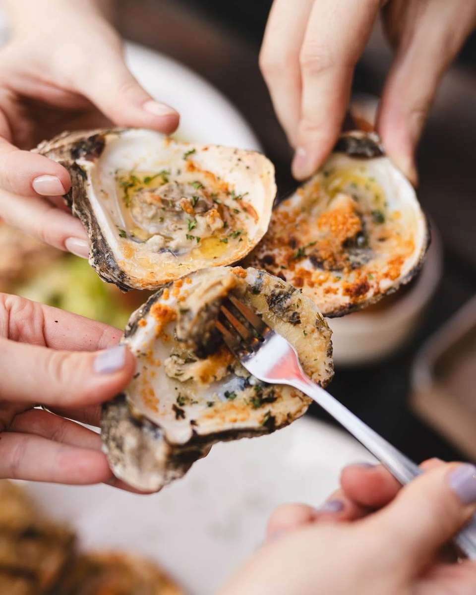 Oysters