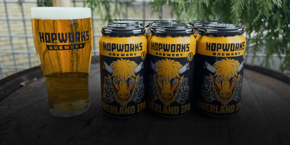draft pint of Overland IPA next to a 6pack of sleek, black and yellow printed cans with a punk rock buffalo head that has beer cans for horns and hops for eyes.