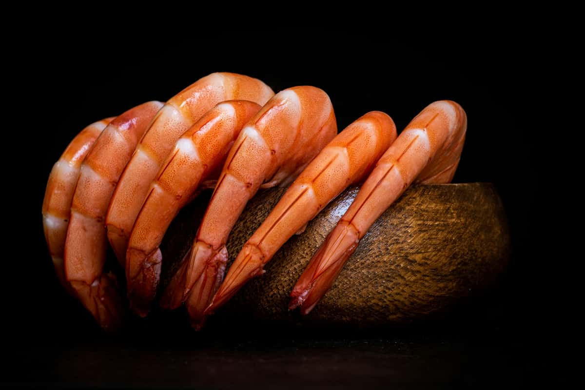Photo of some shrimps on a rock with a black background