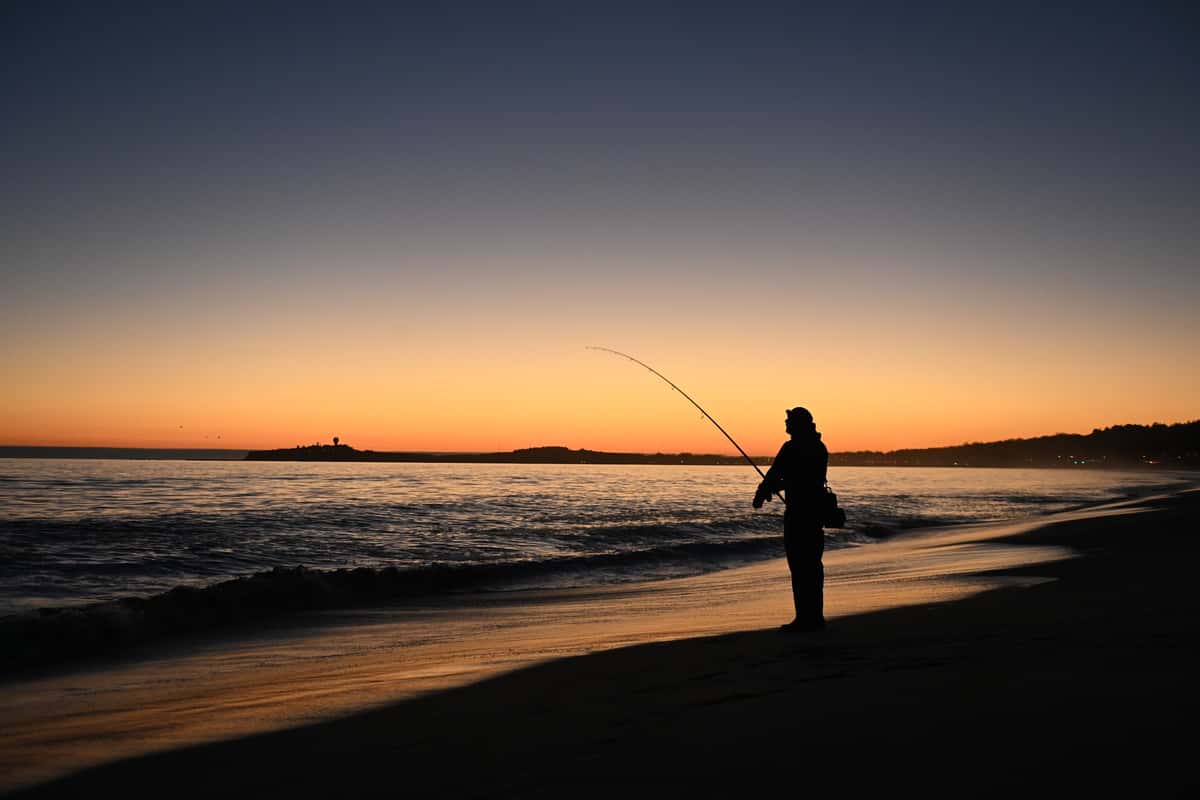Person Fishing