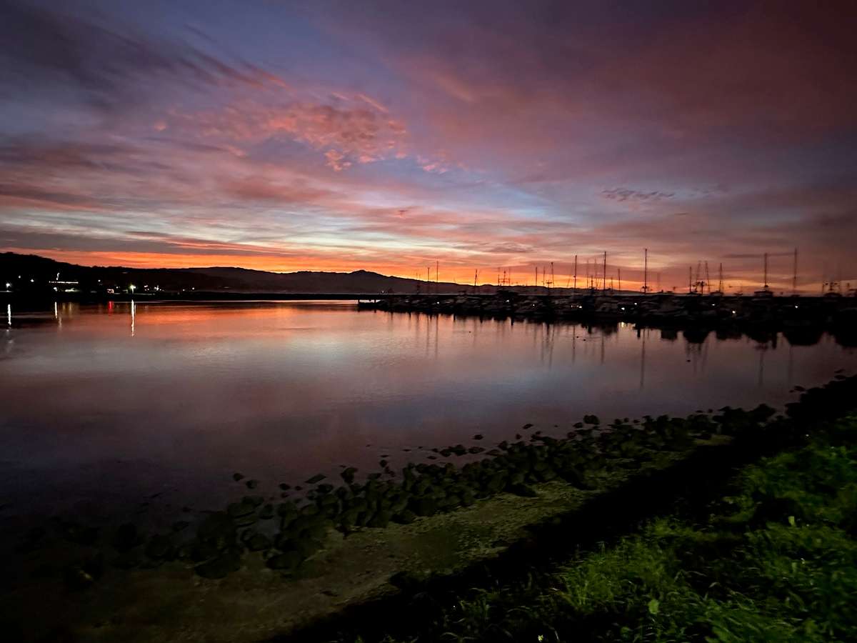 Harbor