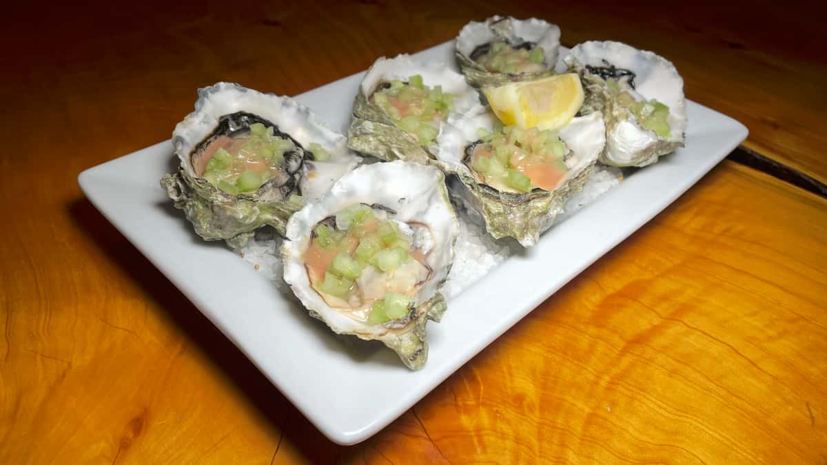 Oysters