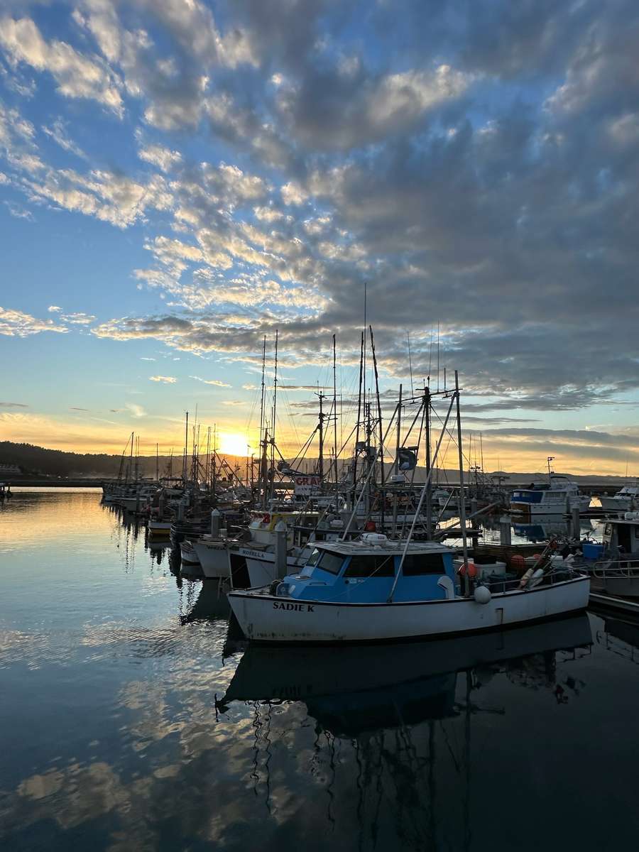Harbor