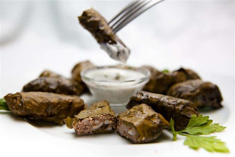 grape leaves with Tzatziki dipping sauce