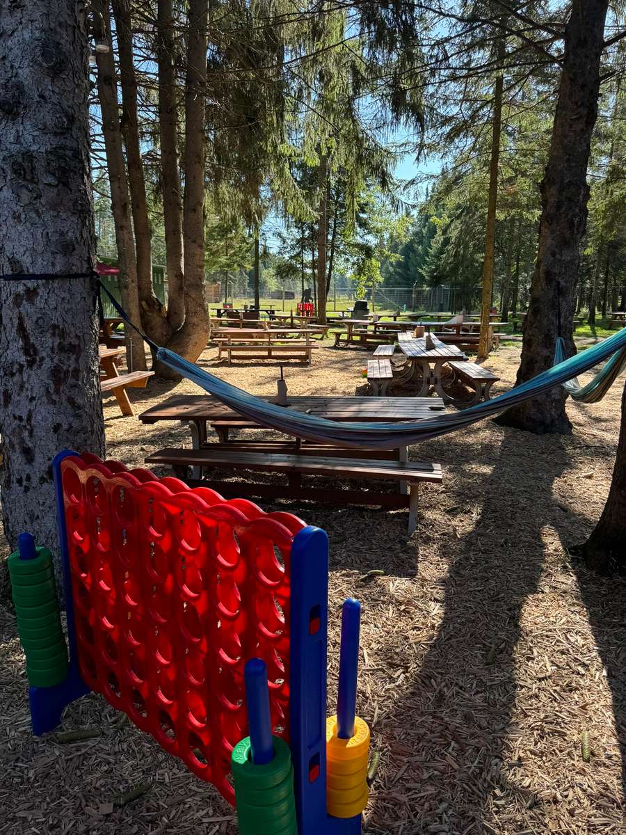 Outdoor entertainment at Primal Eats in Wisconsin