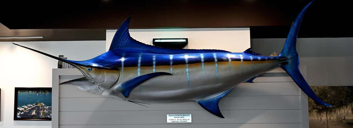 marlin sculpture