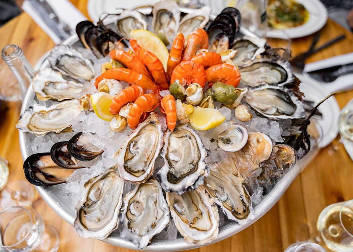 oysters