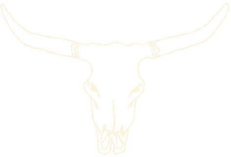 skull icon