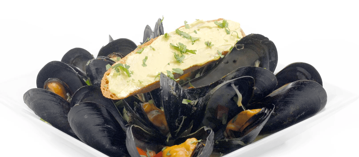steamed mussels